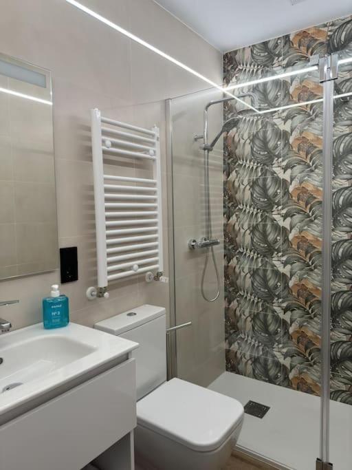 Vivienda Centrica Junto Al Museo *
